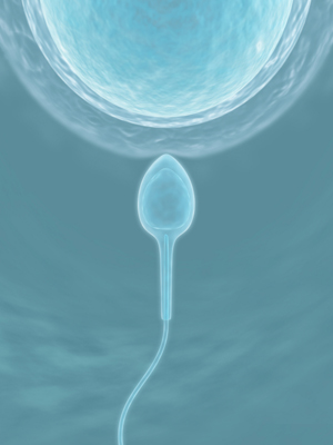 Donor Sperm Insemination Treatment India, Cost Donor Sperm Insemination, Fertility, Infertility, Donor Sperm Insemination Treatment Cost India