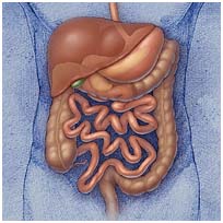 Colorectal Surgery India, Cost Colorectal Surgery Bangalore India, Colorectal Surgery Cost India, Colorectal Surgery Delhi India, Colorectal Surgery mumbai India, Colorectal Surgery Symptoms, Colorectal Surgery Cause, Colorectal Surgery Hospital Delhi India