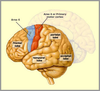 Neurosurgery Treatment India