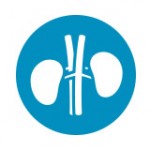 transplant-kidneys-icon