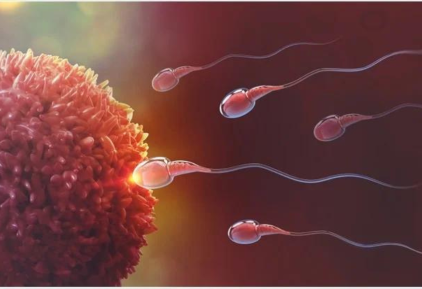 Male Infertility Treatment