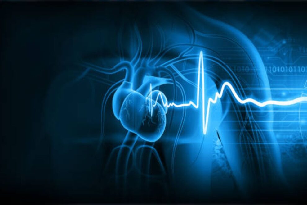 Heart Diagnostic Procedures in India: Advanced Cardiac Testing