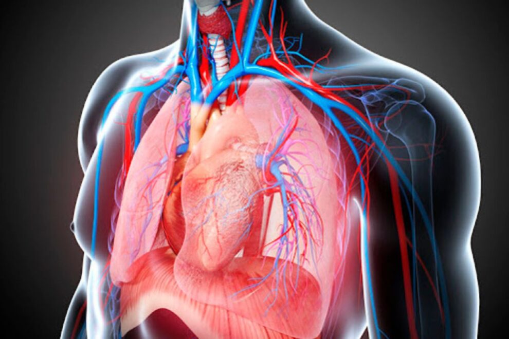 Heart Transplant Surgery in India – Leading Hospitals & Experienced Surgeons