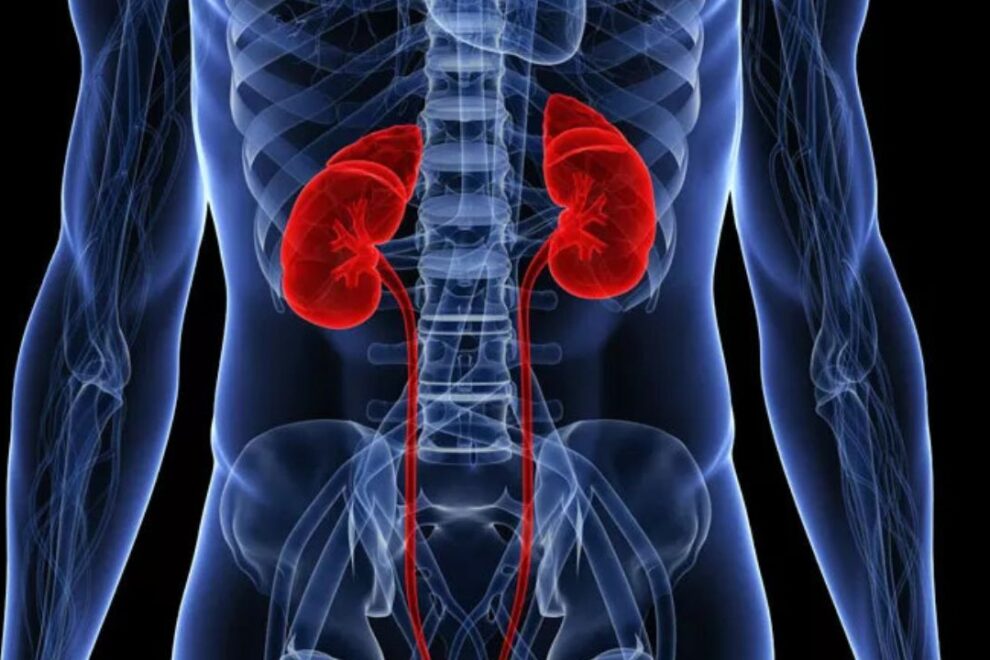 Renal Artery Aneurysm Surgery in India: Cost, Hospitals & Expert Surgeons