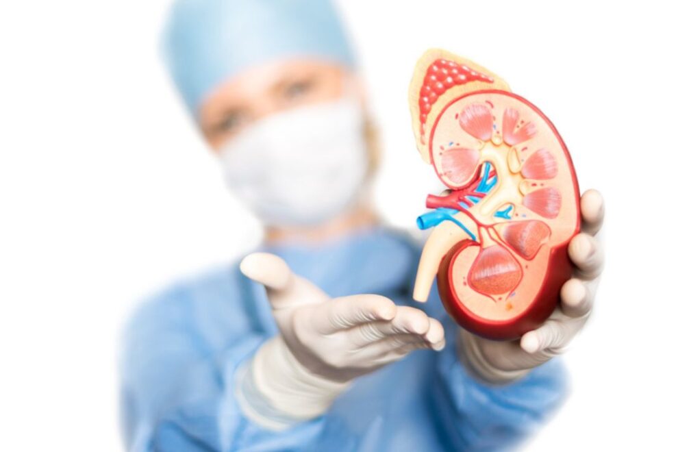 Renovascular Conditions Surgery in India: Expert Treatments for Kidney Health