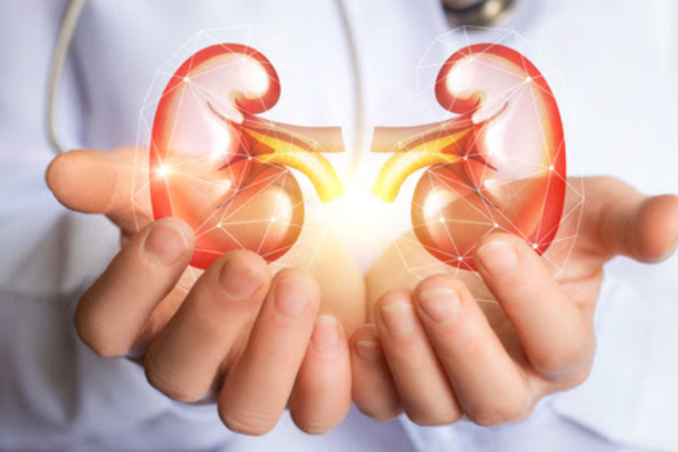 Chronic Kidney Disease