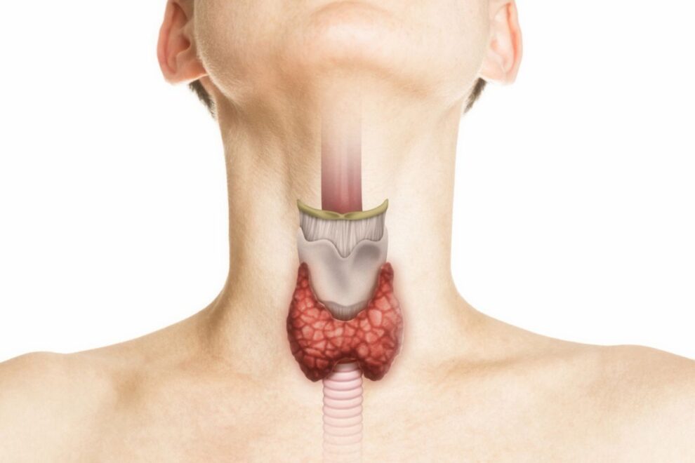 Laryngectomy in India | Advanced Treatment for Throat Cancer