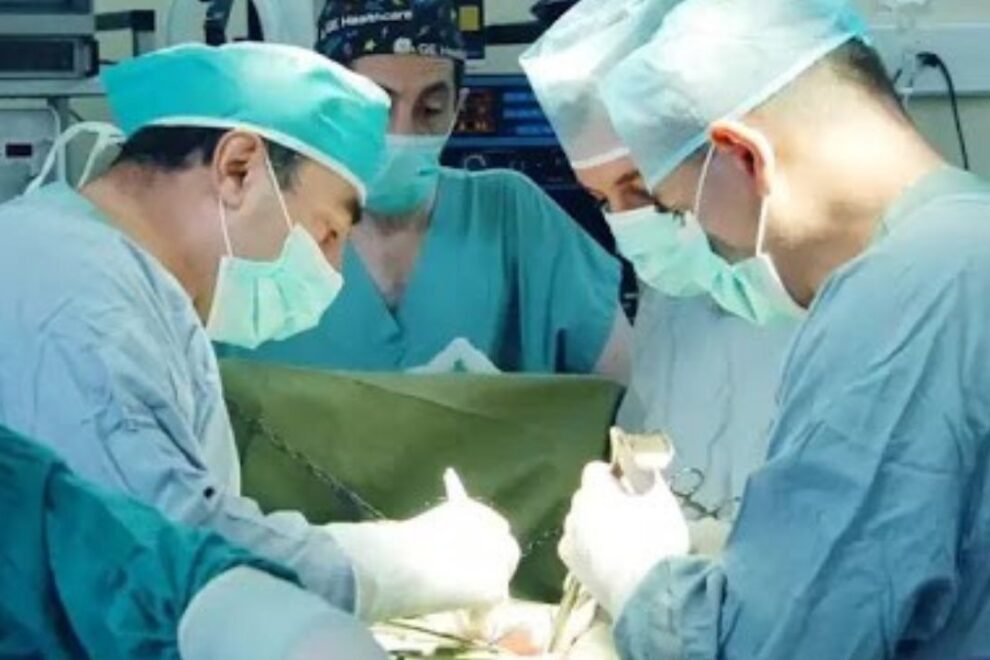 Appendix Surgery in India