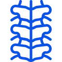 Spine Surgery
