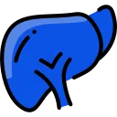 liver.png